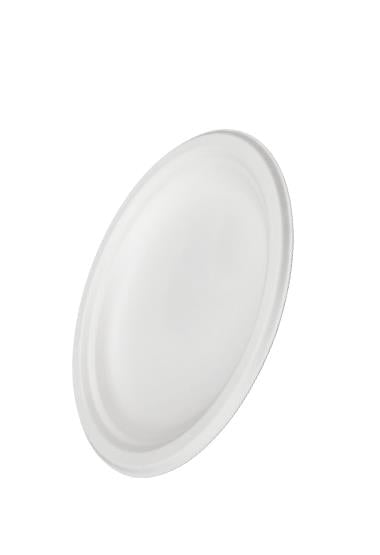 Plato biodegradable 22cm x 25 und Dasil